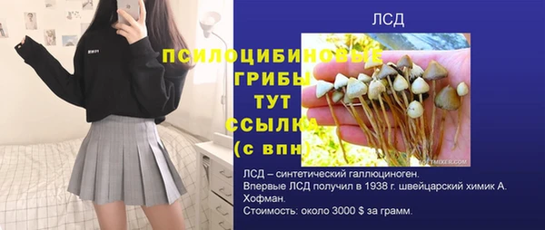 МДПВ Абинск