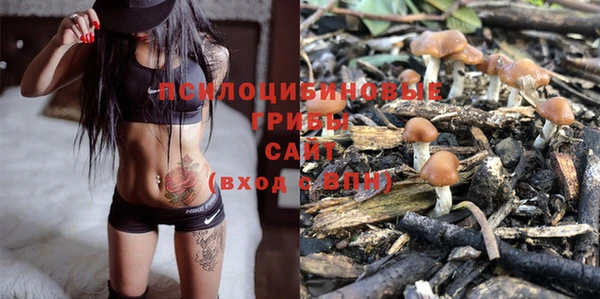 спайс Покровск
