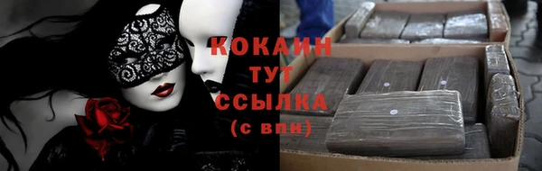 крисы Пересвет