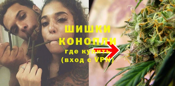 ГАЛЛЮЦИНОГЕННЫЕ ГРИБЫ Пестово