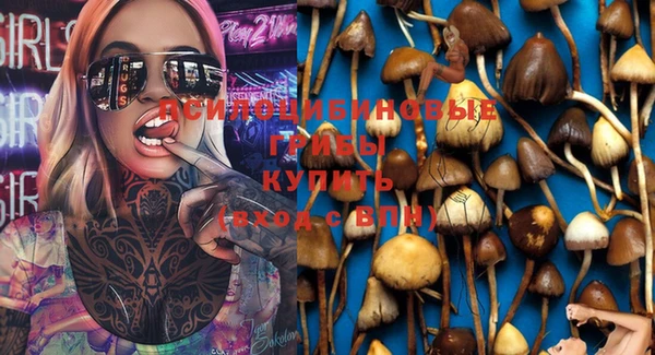 МДПВ Абинск